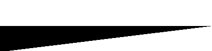 [PNB horizontal flag]